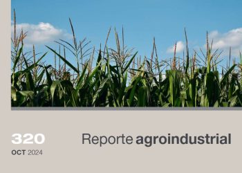Resultados económicos del cultivo de maíz en la campaña 2023/2024 y perspectivas para la campaña 2024/2025 en Tucumán y zonas de influencia
