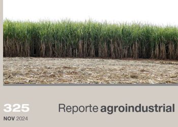 Zafra 2024: Diferenciación de edades en cañaverales tucumanos con cultivo antecesor soja