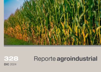 Análisis espacial y temporal del rendimiento del cultivo de maíz en la campaña 2023/2024 mediante técnicas de geoprocesamiento en Tucumán