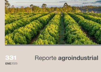 Gastos de una plantación de limoneros en Tucumán según el marco de plantación. Campaña 2024/2025