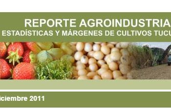 Análisis económico del cultivo de caña de azúcar en la campaña 2010/11