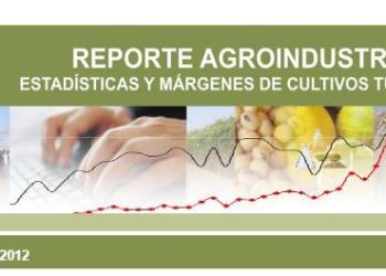 Cultivo de arándano: actividad comercial en la Argentina y Tucumán (2010-2011). Gastos de producción estimados en Tucumán, campaña 2011