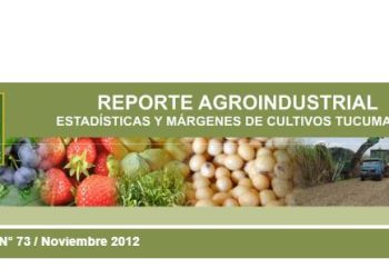 RA73-Estadísticas, costos y margen bruto del cultivo de caña de azúcar, 2011/12 vs. 2010/11 en Tucumán