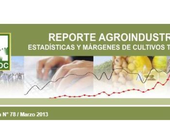 RA78-Cultivo de arándano. actividad comercial en la Argentina y Tucumán 2012