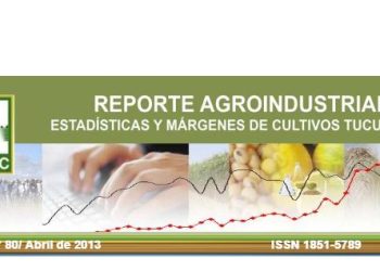 RA80- Campaña de soja y maíz 2012/2013 en Tucumán: superficie sembrada y comparación con campañas anteriores