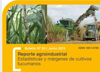 RA83- Área cosechable y producción de caña de azúcar y azúcar para la zafra 2013 en Tucumán