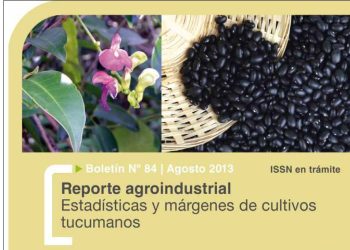 RA84-Resultados productivos y económicos del cultivo de poroto negro en Tucumán. Campaña 2013 vs. 2012