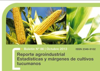 RA86-Resultados productivos y económicos del cultivo de maíz en Tucumán, campaña 2012/13 vs 2011/12