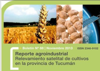 RA88-Superficie cultivada con trigo y garbanzo en la campaña 2013 en la provincia de Tucumán y comparación con campañas precedentes