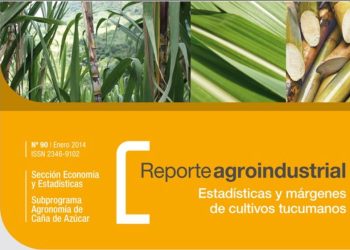 RA90-Estadísticas, costos y margen bruto, zafra 2013 vs 2012, y costo de plantación 2013/2014, en Tucumán