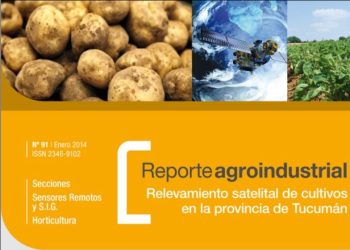 RA91-Superficie cultivada con papa en el pedemonte y llanura de Tucumán en 2013 y comparación con 2012