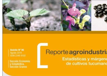 RA96-Poroto Negro: Superficie, rendimiento, gastos de producción y margen bruto del cultivo en Tucumán, campañas 2013 y 2014