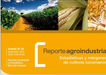 RA99-Resultados productivos y económicos del cultivo de maíz en Tucumán, campaña 2013/14 vs 2012/13