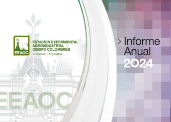 Informe Anual 2024
