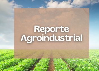 Campaña de trigo 2011 superficie sembrada en la provincia de Tucumán y zonas de influencia