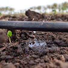 Riego por goteo en caña de azúcar