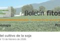 Boletín Fitosanitario | Programa Granos – Febrero 2026