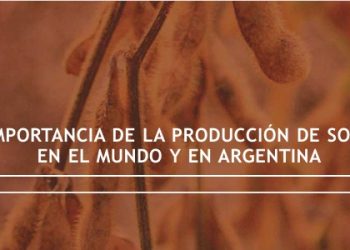 Producción de Soja en el Noroeste Argentino