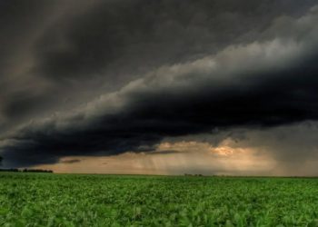 Recuperación hídrica: análisis de las precipitaciones entre septiembre de 2025 y enero de 2026