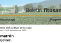 Boletín Fitosanitario | Programa Granos – Febrero 2026