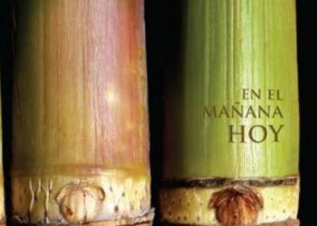 En el mañana hoy