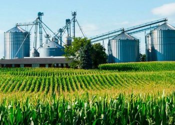 Folleto de Servicios Area Industrial