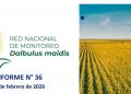 Informe 36 | Red Nacional de trampas de monitoreo de la  chicharrita del maíz