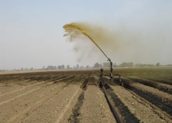 Recuperación del uso de la vinaza: de problemática ambiental a potenciador del cultivo