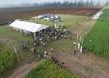 Día de Campo EEAOC 2026