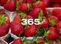 Reporte Agroindustrial 365 | Comercio exterior de los culti vos de arándano y frutilla en la  Argentina y Tucumán, campaña  2025 vs 2024