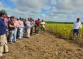 La Eeaoc invita a participar del Día de campo de soja, maíz, poroto y sorgo 2026