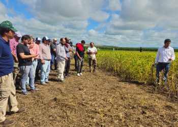 La Eeaoc invita a participar del Día de campo de soja, maíz, poroto y sorgo 2026