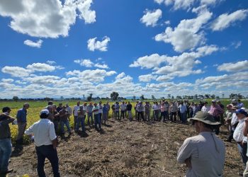 Día de campo: más presentaciones de la jornada