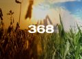 Reporte Agroindustrial 368 | Superficie cultivada con soja, maíz y poroto en Tucumán mediante sensores remotos