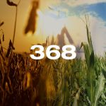Reporte Agroindustrial 368 | Superficie cultivada con soja, maíz y poroto en Tucumán mediante sensores remotos