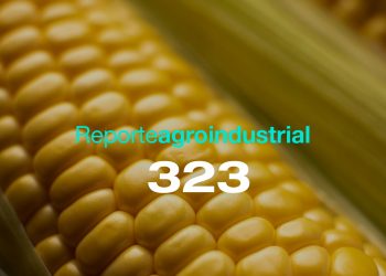 Resultados de la encuesta reali zada a los productores de maíz  en Tucumán y zonas de influencia,  campaña 2023/2024