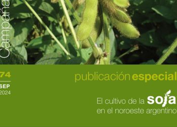 Soja en el NOA 2024
