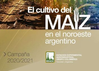 Maíz en el NOA 2021