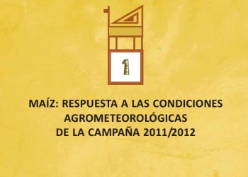 EL MAIZ EN EL NOA | Campaña 2011 2012