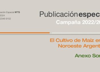 Maíz en el NOA 2023