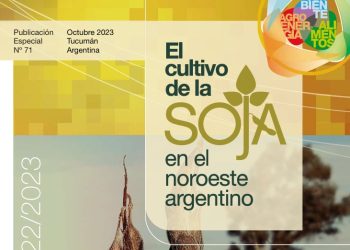 Soja en el NOA 2023
