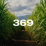 Reporte Agroindustrial 369 | Costos de producción de caña  de azúcar en Tucumán campaña  2024/25 y primera estimación  para la zafra 2026