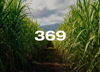 Reporte Agroindustrial 369 | Costos de producción de caña  de azúcar en Tucumán campaña  2024/25 y primera estimación  para la zafra 2026