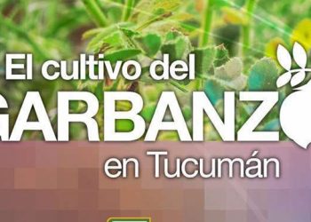Garbanzo 2021
