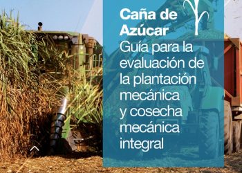 Caña de azúcar plantación y cosecha mecánica