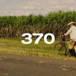 Reporte Agroindustrial 370 | Estimación del área cosechable y de la producción de caña de azúcar para la zafra 2026 en Tucumán