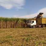Tucumán será sede del taller internacional “COSECHA: Maximizando la Recuperación de Azúcar en Campo”