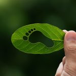 Huella de carbono: de la medición a la gestión ambiental estratégica