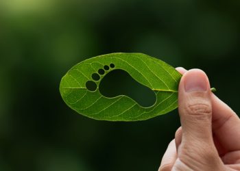 Huella de carbono: de la medición a la gestión ambiental estratégica