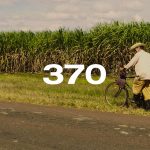 Reporte Agroindustrial 370 | Estimación del área cosechable y de la producción de caña de azúcar para la zafra 2026 en Tucumán